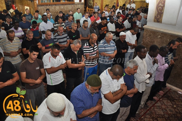 kaber yaffa js (1).JPG